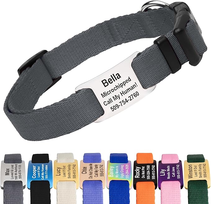 GoTags Personalized Dog Collar with Nameplate, Adjustable Dog Collar with Custom Engraved Slide On Pet ID Tag in Stainless Steel, Silent, No Noise Dog Tag (Charcoal, Large)