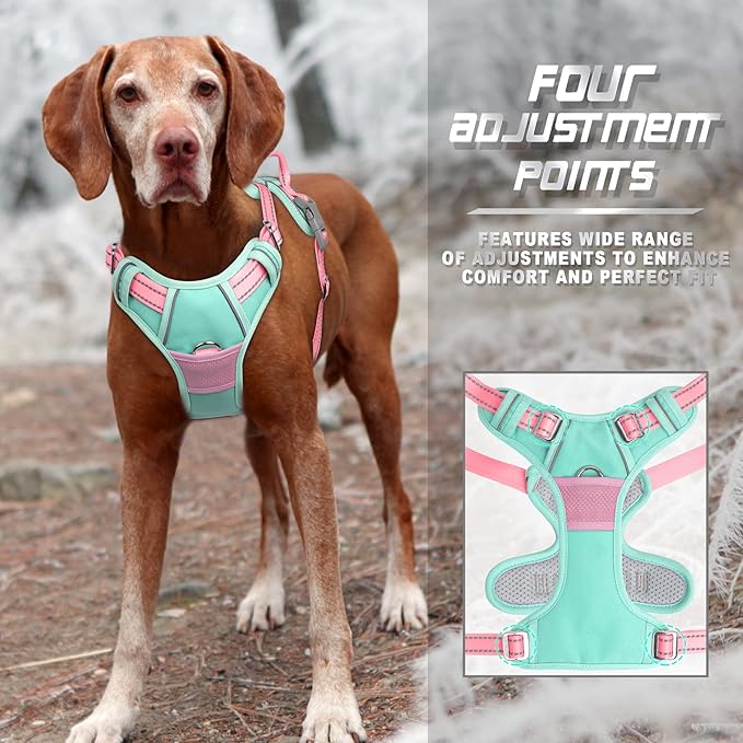 BARKBAY No Pull Dog Harness Front Clip Heavy Duty Reflective Easy Control Handle for Large Dog Walking(Cool Mint & Baby Pink,M)