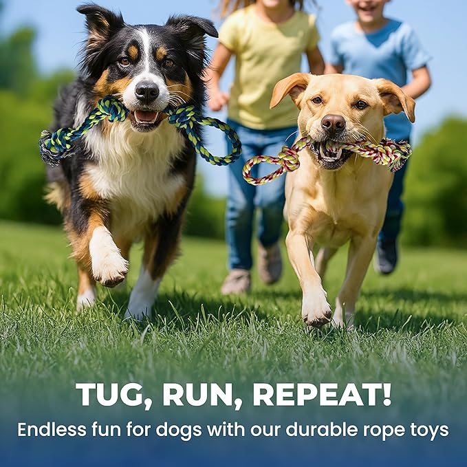 Pup Quartet Dog Rope Toy for Aggressive Chewers 2-Pack Tug of War Dog Toy with Thick Knots Heavy Duty Rope Toys for Dogs – Indestructible Rop Chew Toys for Medium & Large Dogs