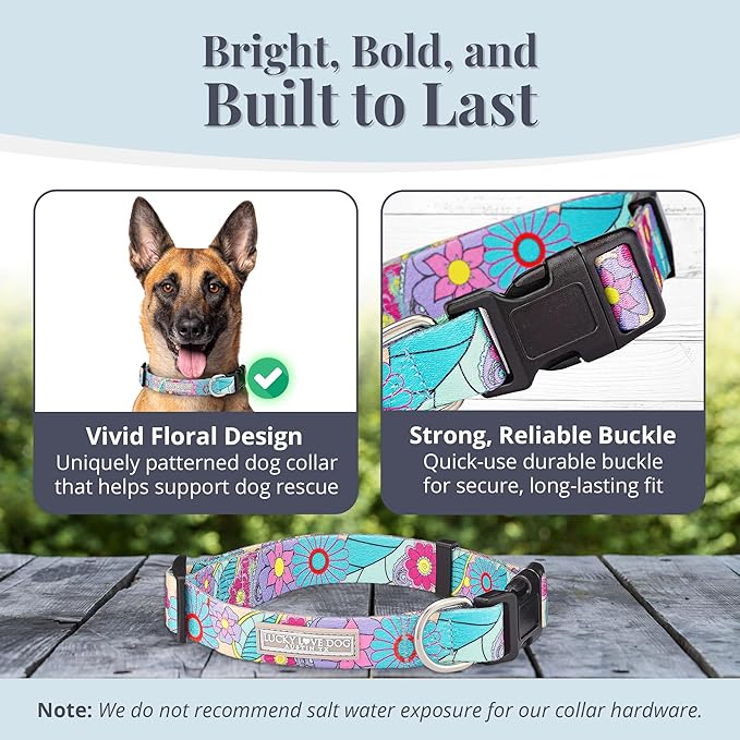 Lucky Love Dog Collars, Cute Large Dog Collars for Female Dogs, Part of Purchase Donated to Rescue (Large, Caroline, Collar)
