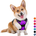 BARKBAY No Pull Dog Harness Large Step in Reflective Dog Harness with Front Clip and Easy Control Handle for Walking Training Running(Purple,M)