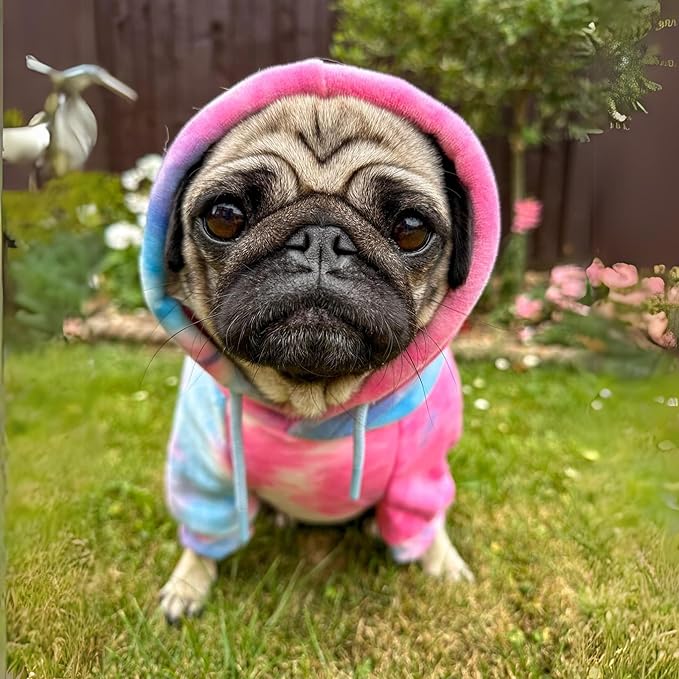 Spark Paws Dog Hoodie – Premium Dog Sweater for Small, Medium, and Large Dogs | Warm Outfits for French Bulldogs, Pitbull, Puppy, Winter Jacket Alternative - Snow Cone - M