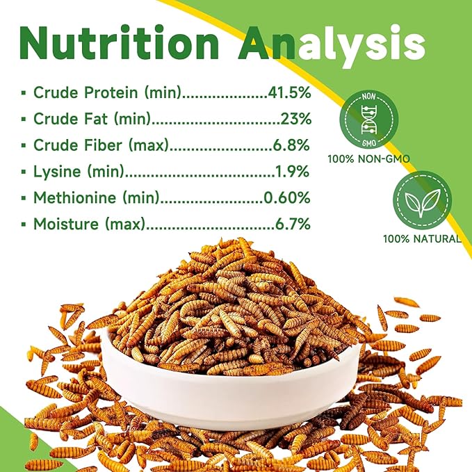 2LB Dried Black Soldier Fly Larvae Treat for Chicken, 100% Natural Non-GMO More Calcium Than Dried Mealworms High Protein Chicken Feed for Birds, Ducks, Layer Hens