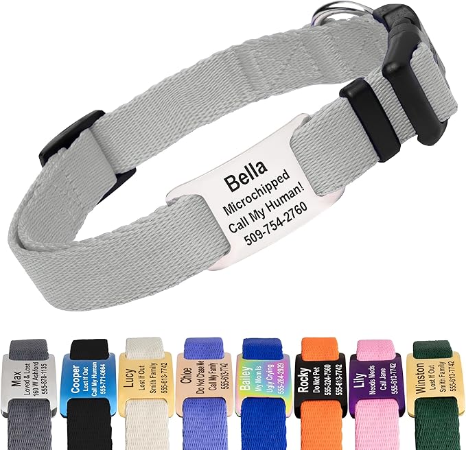 GoTags Personalized Dog Collar with Nameplate, Adjustable Dog Collar with Custom Engraved Slide On Pet ID Tag in Stainless Steel, Silent, No Noise Dog Tag (Light Gray, Medium)