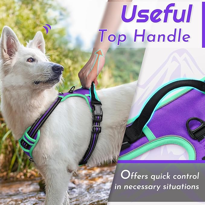 Eagloo Dog Harness for Large Dogs, No Pull Service Vest with Reflective Strips and Control Handle, Adjustable and Comfortable for Walking, No Choke Pet Harness with 2 Metal Rings, Purple & Green, L