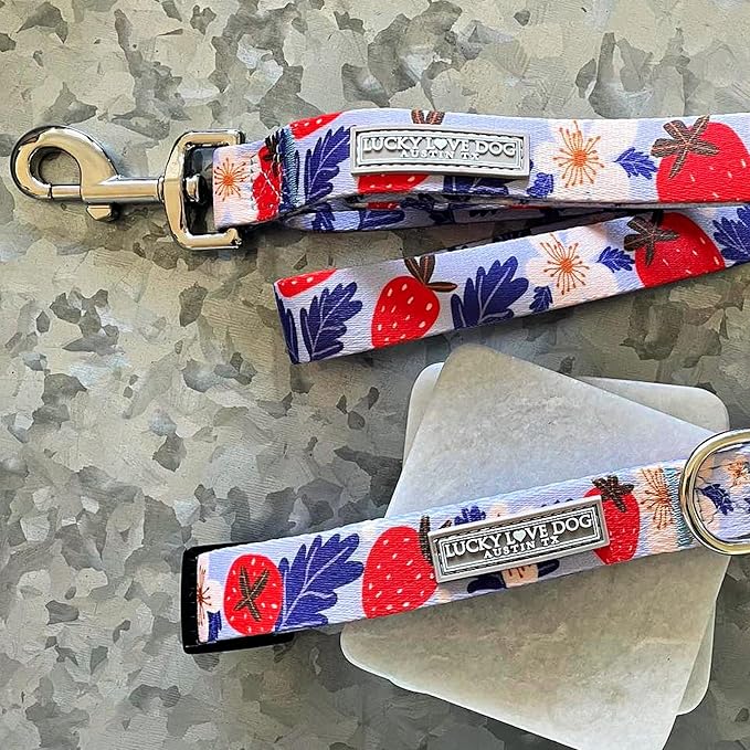 Lucky Love Dog - Easy Click Buckle Dog Collar with Leash Set Combo, Durable & Comfortable for Male & Female Dogs, Pet Collar for Small to Large Dogs, Secure Fit - Sweet Berry Combo, Large