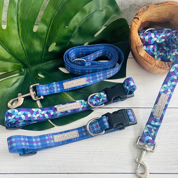 Lucky Love Dog - Adjustable Dog Collar and Leash Set with Easy Click Buckle for Small to Large Dogs, Durable, & Comfortable Collar for Male & Female Dogs, Puppies & Adult Ones - Scotty Combo, Large