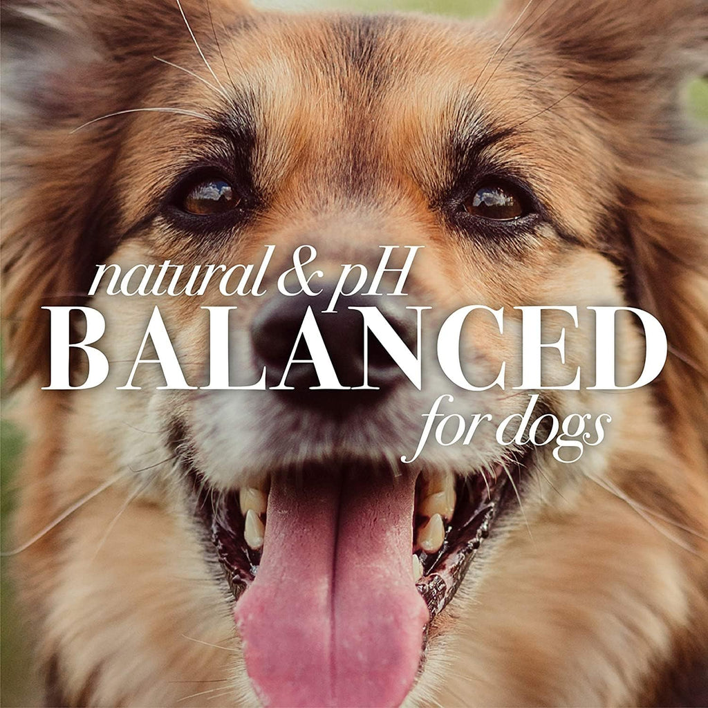 Burt's Bees for Pets Calming Dog Shampoo with Lavender and Green Tea, 6pk, 95% Natural Origin Formulas, Calming Lavender Dog Shampoo - Gentle Dog Shampoo, Best Dog Shampoo, Lavender, 6pk 16 oz