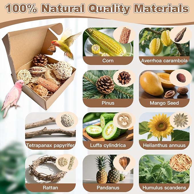 2 in 1 Parrot Toys, Tyotrbs Parakeet Foraging Box DIY Hanging String with Comes with 2 Hooks Bird Toy for Parakeets,Cockatiels,Conures,Love Birds Cage Accessories for Small to Medium Birds