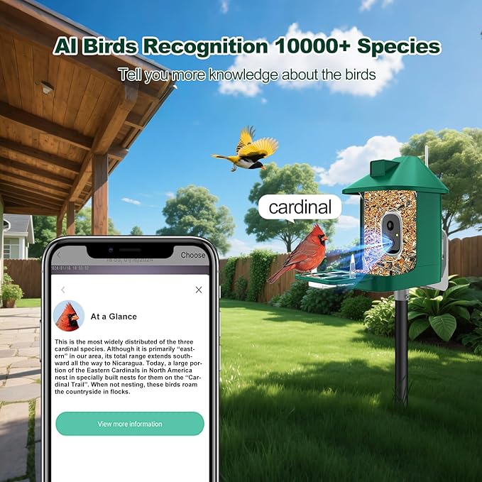Bird Feeder with Camera,2K Live View,WiFi Smart Bird House with Cam Solar Powered for Outdoor,Night Vision,AI Identify,Auto Record Video,Real-Time App Alerts,Birdwatching Gifts for Family,Birds Lover