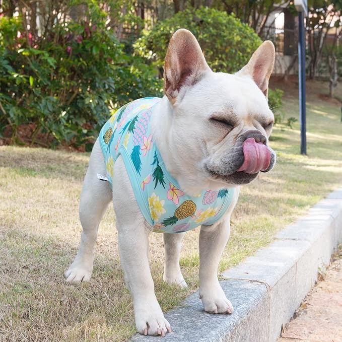 CuteBone Dog Shirts 2-Pack Soft Pet Clothes Breathable Summer Vest for Small Puppy and Stretchy Cat Apparel 2BX06L