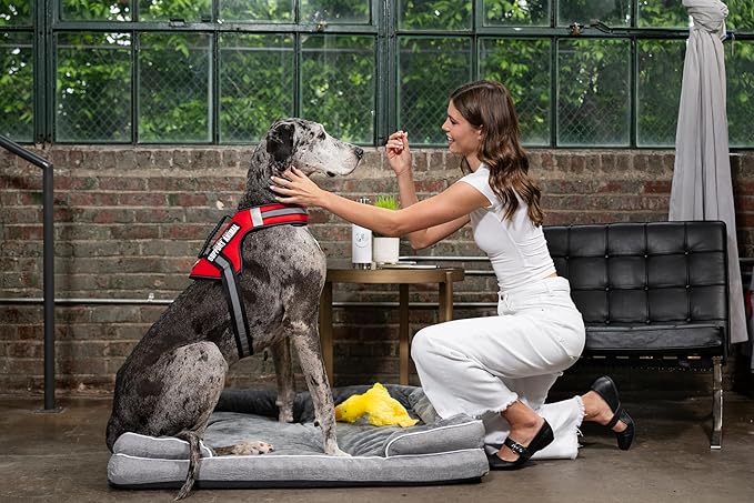 Support Pets The Only Official ESA™ Dog Harness – Adjustable No-Pull Dog Vest for Easy Pet Recognition with Reflective Straps – Soft, Padded & Comfortable for Training and Daily Use - Medium