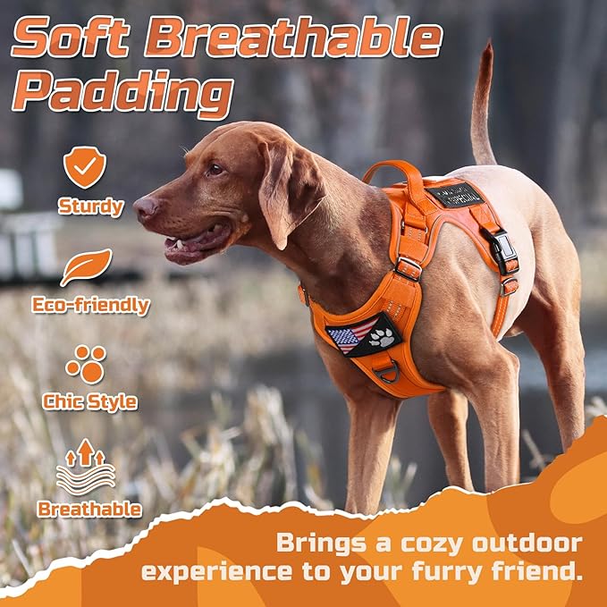 rabbitgoo Tactical Dog Harness Medium Sized Dog, No Pull Military Service Vest with Handle & Molle, Easy Control for Training Walking, Adjustable Reflective Straps, Orange, M