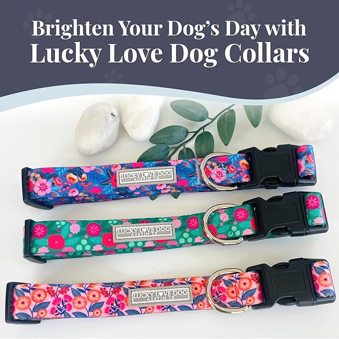 Lucky Love Dog - Adjustable Dog Collar with Easy Click Buckle for Small to Large Ones, Durable, & Comfortable for Male & Female Dogs, Pet Collar for Puppies & Adult Dogs - Rosie, XS