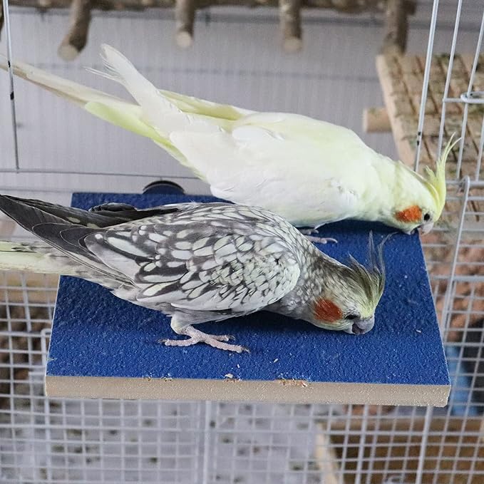 7.9×5.9 Inches Large Bird Perch Stand Platform, Natural Wooden Bird Cage Accessories, Bird Stand Perch with Rough Quartz Sand Surface for Parrot, Parakeet, Budgies, Cockatiel, Rats