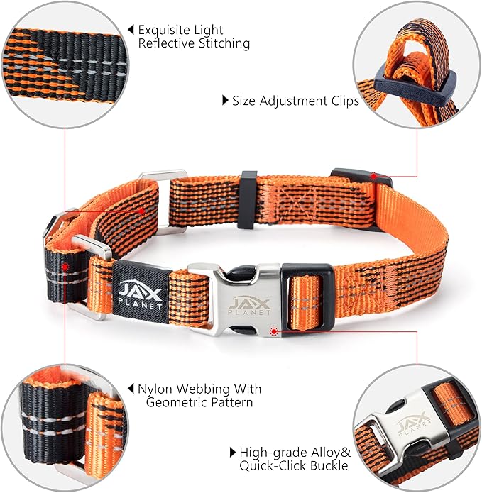 Orange Martingale Collar for Dogs - Heavy Duty Nylon Pet Collars for Escape-Free, No Pull Training & Walking with Alloy Metal Release Buckle & Reflective D Ring, One Time Adjustment, Safe & Secure, S