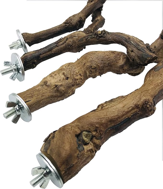 Allazone 2 PCS Natural Grape Stick Fork Bird Perch Bird Standing Stick Chewing Bird Toys Natural Grapevine Bird Cage Perch for Parrot Cages Toy for Cockatiels, Parakeets, Finches