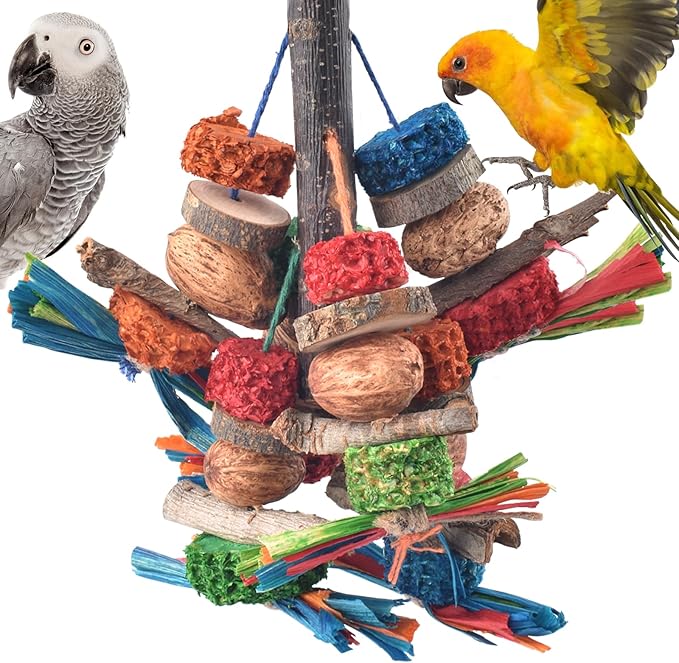 Bissap Bird Chew Toys, Natural Bark Corncob Nuts Parrot Toys and Treats for Conure Cockatoo Parakeet Budgies Cockatiel Lovebirds Pets Cage Bite Toy