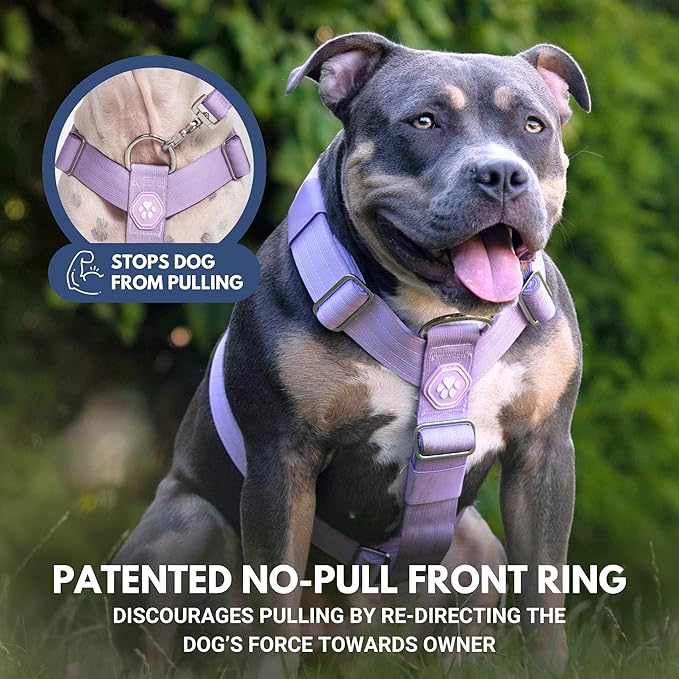 Spark Paws No Pull Dog Harness for Large Dogs, Heavy Duty Dog Harness for Big Strong Breeds, Adjustable, Y Shaped Padded Halter Design with Front Clip - Purple - Medium