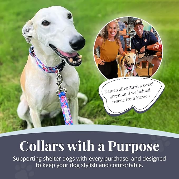 Lucky Love Dog - Adjustable Dog Collar with Easy Click Buckle for Small to Large Dogs, Durable, & Comfortable Collar for Male & Female Dogs, Pet Collar for Puppies & Adult Dogs - Zuzu, Large