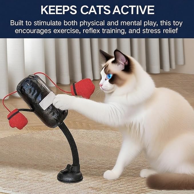 cat Boxing Gloves Toy, Boxing cat Toys, Interactive Kitten Toys Punching Bags, Punching Bag Games Gym (1 Piece)