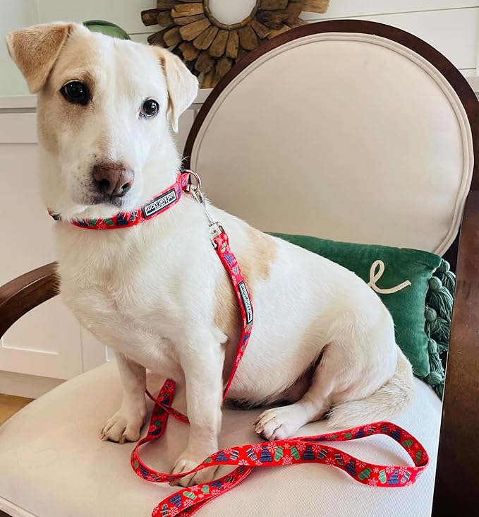 Lucky Love Dog - Adjustable Dog Collar with Easy Click Buckle for Small to Large Ones, Durable, & Comfortable for Male & Female Dogs, Pet Collar for Puppies & Adult Dogs - Chilly, XS