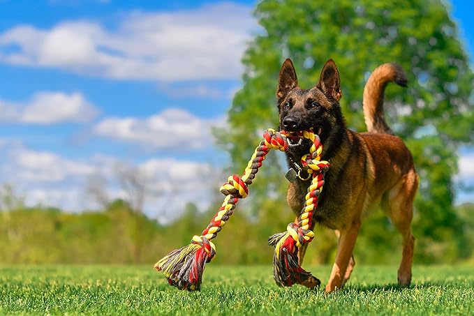 Mammoth Flossy Chews Multi Color 5 Knot Rope Tug – Premium Cotton-Poly Tug Toy for Dogs – Interactive Dog Rope Toy – Tug Dog Chew Toy for Big Dogs - X-Large, 36”