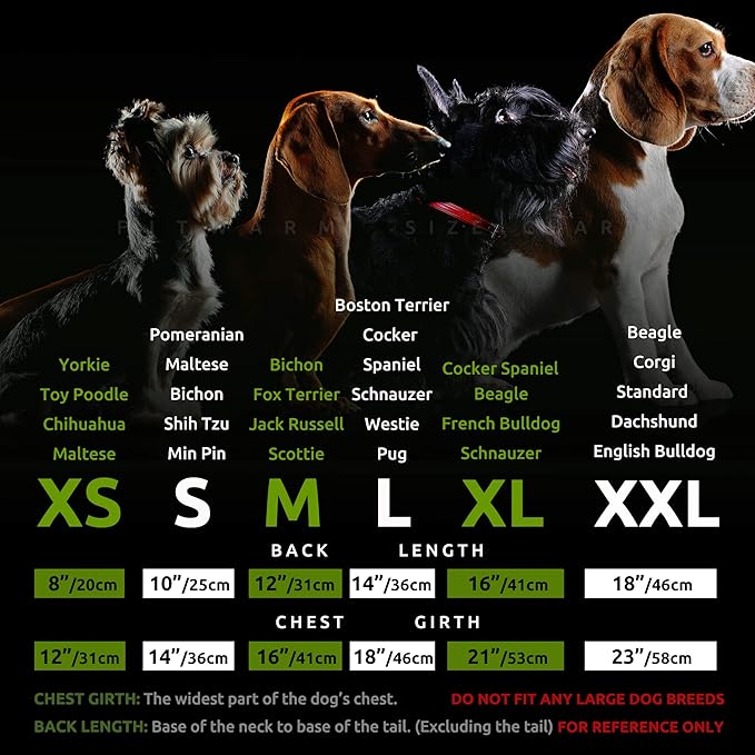 Fitwarm Official Cookie Tester Funny Dog Shirt, Christmas Dog Clothes for Small Dogs Boy Girl, Holiday Doggy Tshirt, Pet Outfit, Gingerbread, Black, Red, Green, XS