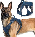 rabbitgoo Tactical Dog Harness for Large Dogs, No Pull Military Service Vest with Handle & Molle, Easy Control for Training Walking, Adjustable Reflective Straps, Blue, XL