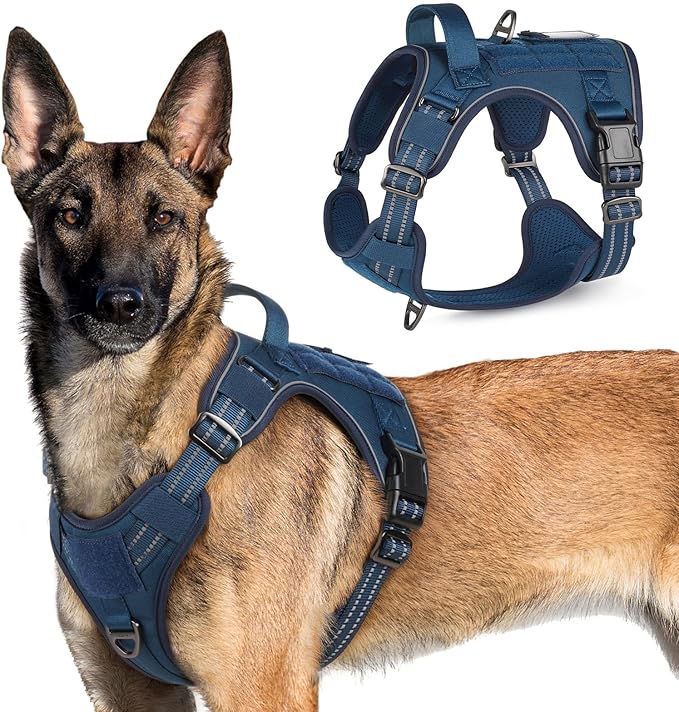 rabbitgoo Tactical Dog Harness for Large Dogs, No Pull Military Service Vest with Handle & Molle, Easy Control for Training Walking, Adjustable Reflective Straps, Blue, XL