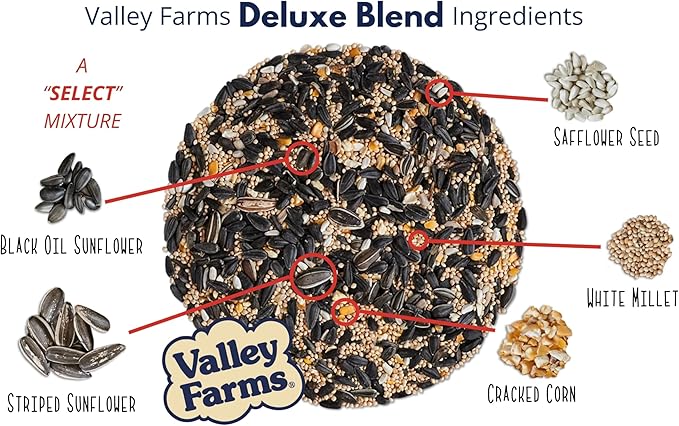 Valley Farms Deluxe Blend 4 LB 2-Pack (8 LBS Total) Wild Bird Food for Outside Feeders with Black Oil Sunflower Seed and Safflower Seed for Birds - A Select Birdseed