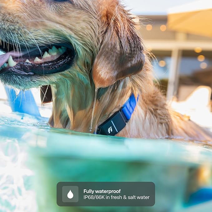 New Fi Series 3+ Smart Dog Tracker Collar [12 Month Membership Included] GPS Tracker for Dogs with Health & Behavior Monitoring, Escape Alerts, Waterproof, LED, Apple Watch Compatible (Blue, Large)