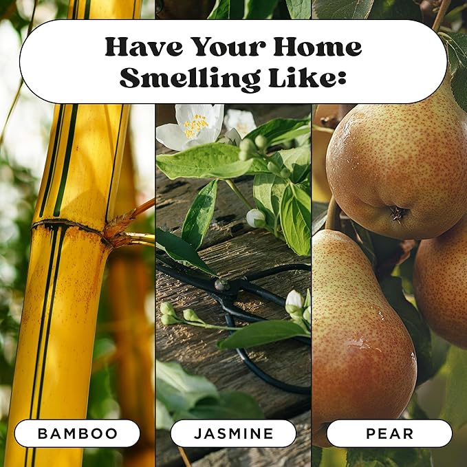 Pet-Pourri Purrfectly Bamboo Cat Deodorizer Candle – Cat Safe Plant Based Ingredients & Wax – Vet Approved – Aromatherapy & Air Freshener for Kitty Odor – Scented with Bamboo, Jasmine & Pear