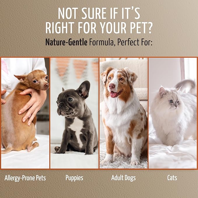 Tauro Pro Line Dog Leave in Conditioner Spray - Supports Pet Coat Regrowth - Cat & Dog Detangler Spray for Shedding, Matted Hair or Post-Surgery Care, Ideal for Doodle, Poodle (Derma Care 8.5 Fl Oz)