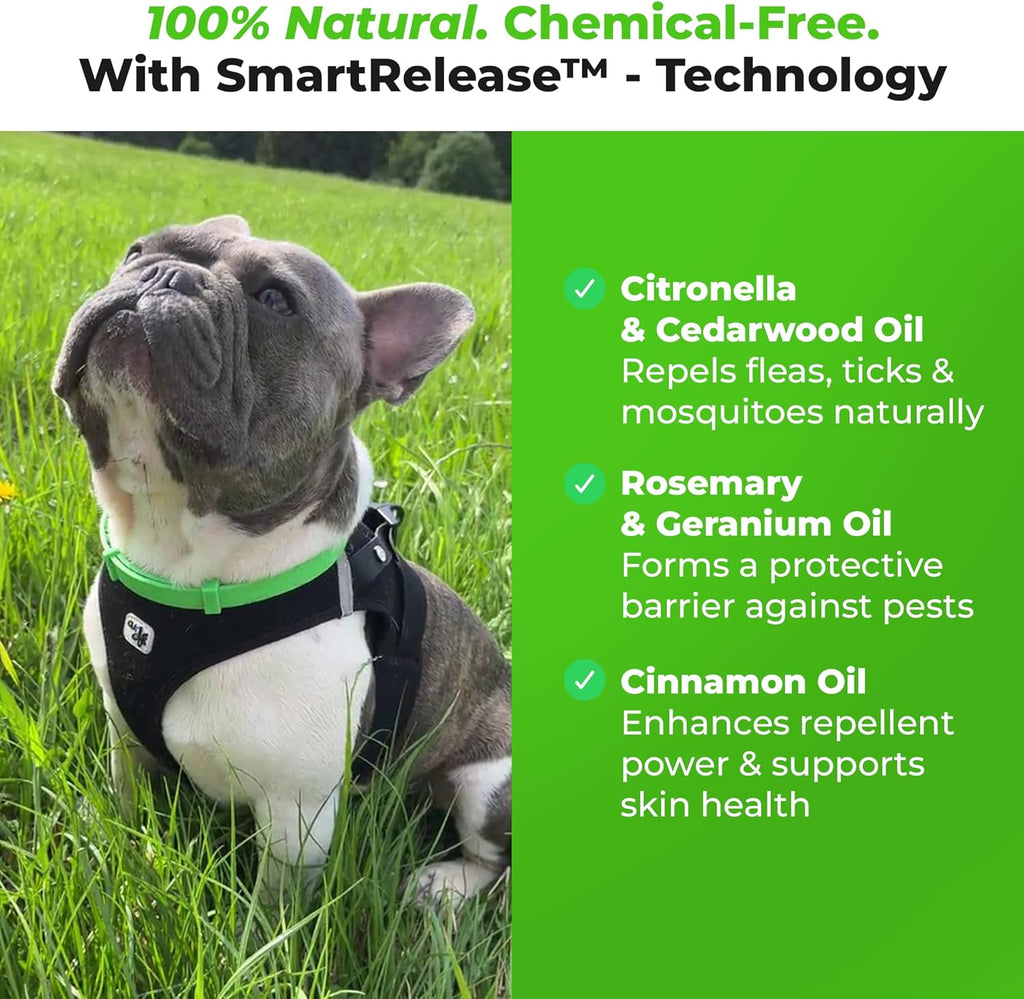 FurLife Flea and Tick Collar for Dogs – Waterproof Black Dog Collar, Pet Supplies for Tick and Flea Prevention for Dogs, Safe for All Breeds