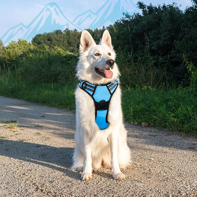 Eagloo Dog Harness Large Breed, No Pull Service Vest with Reflective Strips and Control Handle, Adjustable and Comfortable for Easy Walking, No Choke Pet Harness with 2 Metal Rings, Sky Blue, XL