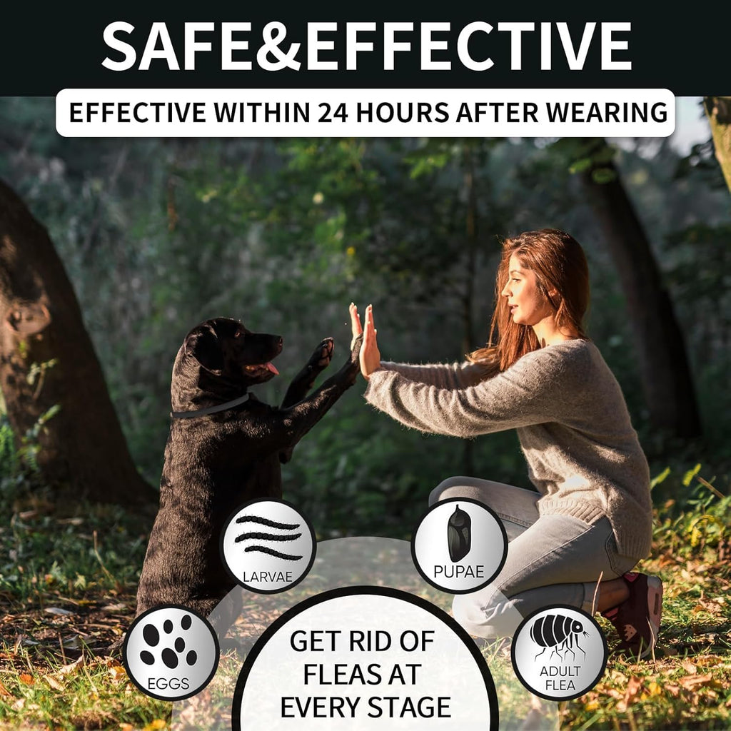 4 Pack Flea Collar for Dogs, Dog Flea and Tick Collar 32 Months Flea and Tick Treatment for Dog, Waterproof Adjustable Dog Flea and Tick Prevention Collar for Small Medium Large Dog Puppy, Black