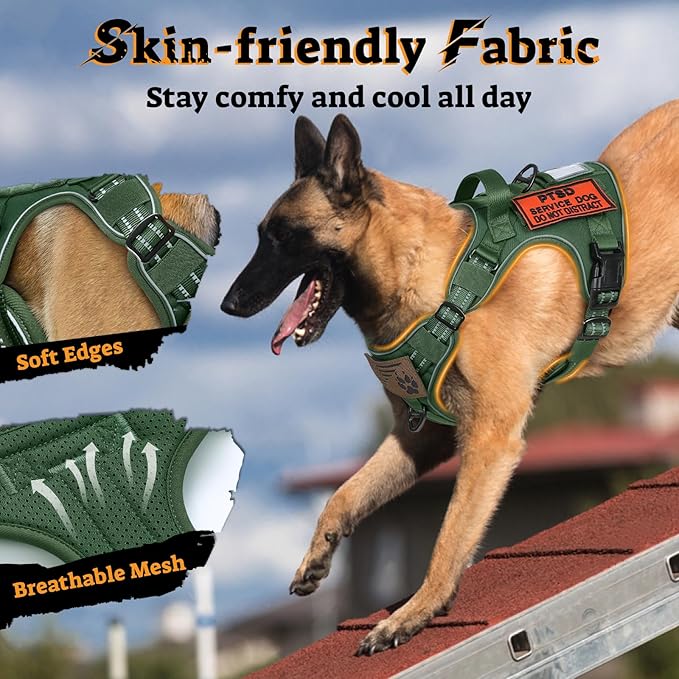 rabbitgoo Dog Harness Medium Sized No Pull, Tactical Service Pet Vest with Molle and Control Handle, Adjustable and Reflective Military Harness for Easy Walking and Training, Green, M