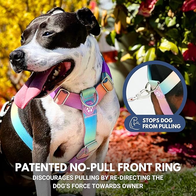 Spark Paws No Pull Dog Harness for Large Dogs, Heavy Duty Dog Harness for Big Strong Breeds, Adjustable, Y Shaped Padded Halter Design with Front Clip - Pastel Icing - S