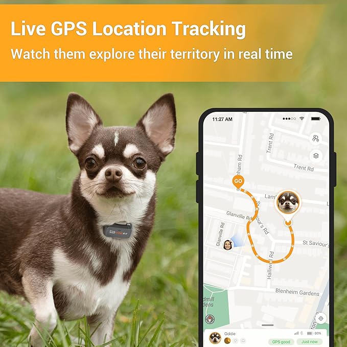 Pawfit Lite for Small Dogs 4g GPS Tracker | Real Time Tracking | Activity Monitoring |Location History | Unlimited Range | Simply White