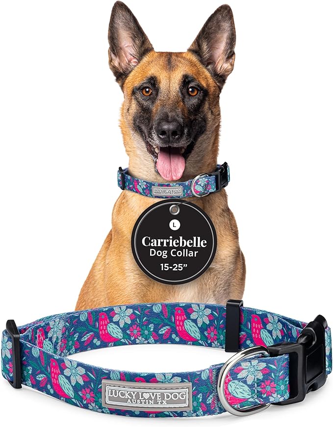 Lucky Love Dog - Adjustable Dog Collar with Easy Click Buckle for Small to Large Dogs, Durable, & Comfortable for Male & Female Dogs, Pet Collar for Puppies & Adult Ones - Carriebelle, Large
