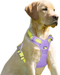 BARKBAY No Pull Dog Harness Front Clip Heavy Duty Reflective Easy Control Handle for Large Dog Walking(Violet Purple & Sunlight,XS)