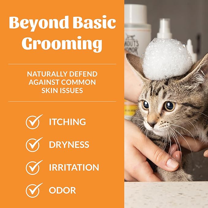 Skout's Honor Probiotic Cat Shampoo & Conditioner with Avocado Oil & Omega-3s, 97% Natural, Paraben & Sulfate-Free, Cruelty-Free, 16oz, Honeysuckle, 2-Pack