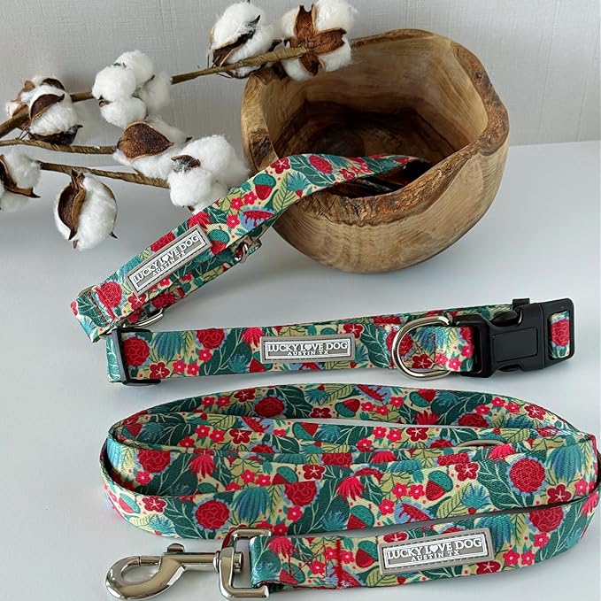 Lucky Love Dog - Easy Click Buckle Dog Collar with Leash Set Combo, Durable & Comfortable for Male & Female Dogs, Pet Collar for Small to Large Dogs, Secure Fit - Ginny Combo, Medium