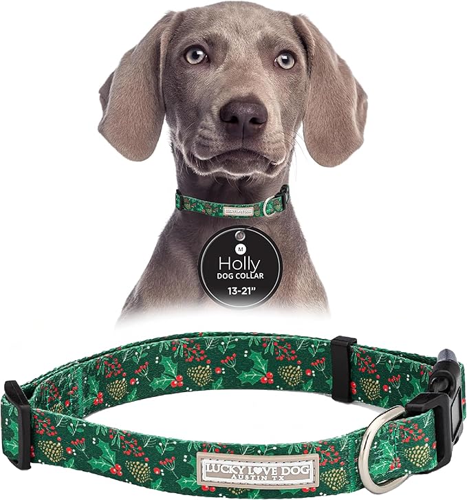 Lucky Love Dog - Adjustable Dog Collar with Easy Click Holly for Small to Large Ones, Durable, & Comfortable for Male & Female Dogs, Pet Collar for Puppies & Adult Dogs - Holly, Medium