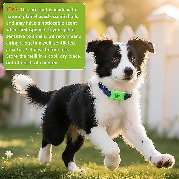 Natural Flea and Tick Prevention Dog Tag – 2 Pack Waterproof Collar Pendant with 4 Extra Refills, Green, Safe for All Breeds Collar Not Included