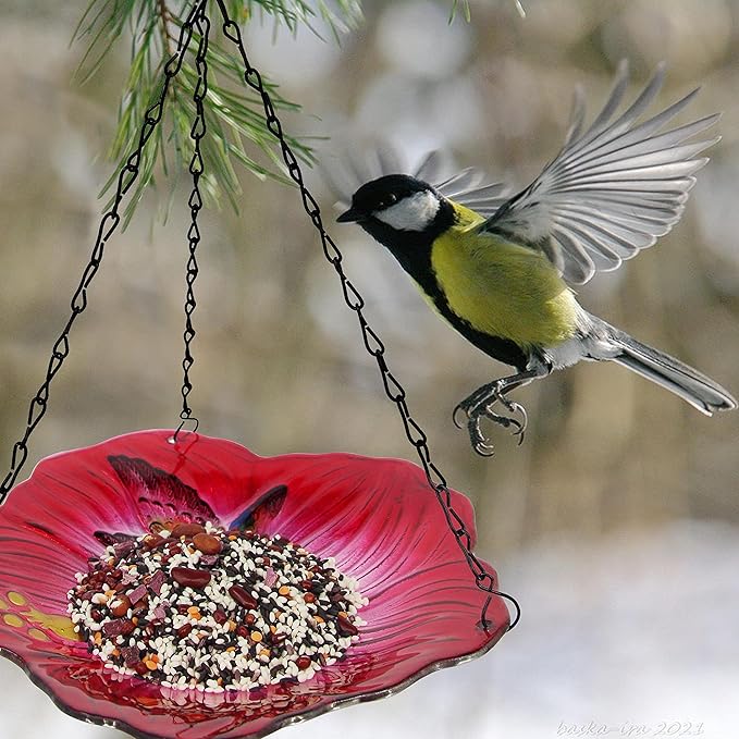 Hanging Bird Bath Glass BirdBath Hummingbird Outdoor Bird Feeder Garden Yard Decorations