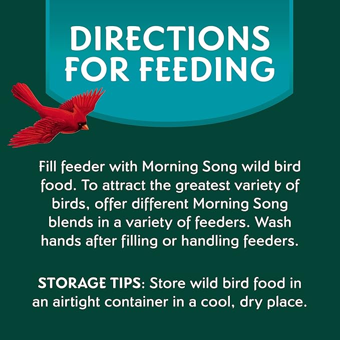 Morning Song Clean & Free Shell Free Wild Bird Food, Premium No Mess Bird Seed for Outside Feeders, 10-Pound Bag