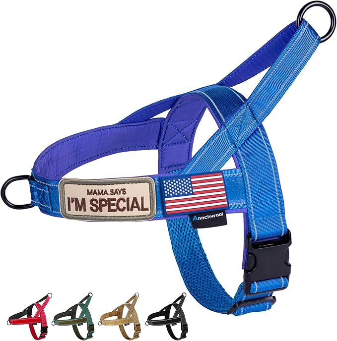 Annchwool No Pull Dog Harness with Soft Padded Handle,Reflective Strip Escape Proof and Quick Fit to Adjust Dog Harness,Easy for Training Walking for Small & Medium and Large Dogs(Blue,S)