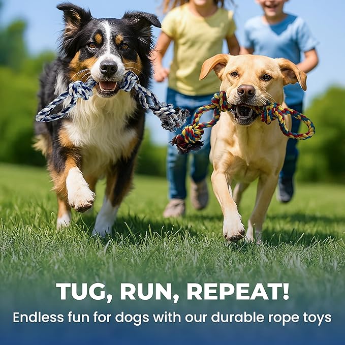 Pup Quartet Dog Rope Toy for Aggressive Chewers 2-Pack Tug of War Dog Toy with Thick Knots Heavy Duty Rop Toys for Dogs – Indestructible Rope Chew Toys for Medium & Large Dogs
